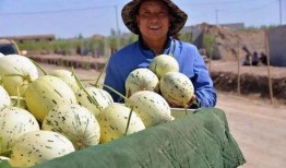 梦见和兄弟老乡吃瓜,兄弟老乡梦中共度欢乐时光