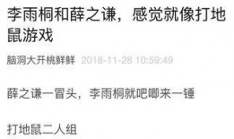 杭州写笔记吃瓜,探寻美食与八卦的交织之旅