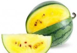 老井瓜怎么吃最好吃,解锁最佳食用秘诀