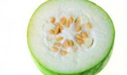 冬瓜视频吃瓜,揭秘吃瓜群众的趣味生活