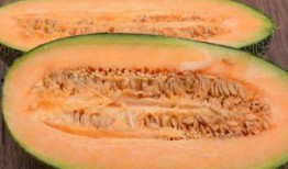 吃哈密瓜声控,解锁夏日清凉新体验