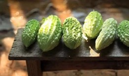 夏日树下吃瓜,瓜香四溢的悠闲时光