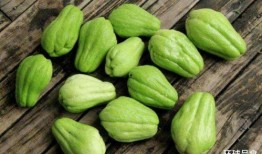 瓜里面的瓜洋可以吃吗,揭秘可食用瓜类中的珍稀品种