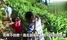 青青吃瓜的视频,揭秘娱乐圈幕后故事