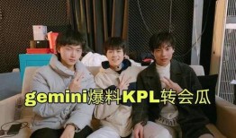 gemini吃瓜爆料,娱乐圈幕后真相大揭秘