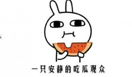 边吃瓜边看世界,轻松解读时事热点