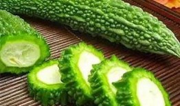 吃瓜吃到瓜地,一场关于瓜农与瓜食者的奇妙之旅