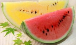 黄粱瑜吃瓜,揭秘娱乐圈背后的秘密与真相