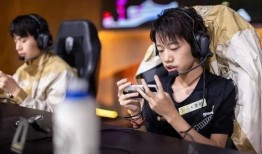 fly吃久诚瓜,一场电竞巅峰对决的精彩回顾