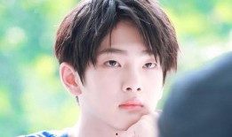 何止吃瓜小说,揭秘娱乐圈背后的真相与秘密