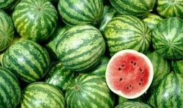 羊奶瓜怎么吃,解锁美味新体验