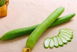 瓜越吃越苦,探寻人生百态的哲理之旅