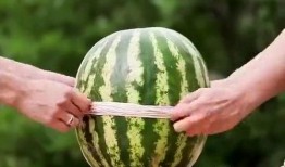 吃瓜怎么吃得更快视频,揭秘如何快速吃瓜技巧