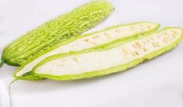 带你吃瓜的蚊子,带你领略“吃瓜群众”的蚊子世界