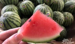 为什么吃瓜都是坐着吃,揭秘瓜果文化中的独特饮食习惯