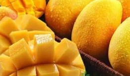 豹纹芒果带你吃瓜