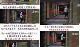 请理智吃瓜全集,揭秘娱乐圈背后的真相与是非