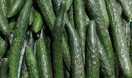 根瓜怎么调着吃,解锁健康美味新食尚