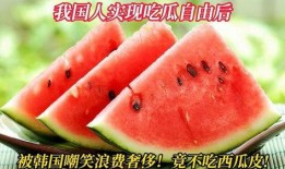 实现吃瓜自由了,畅享生活新境界