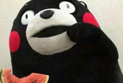 吃瓜群众战凯,吃瓜群众眼中的风云人物