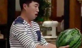 九零后吃瓜大叔小说,揭秘网络时代的青春传奇