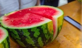 食品学院吃瓜,揭秘校园美食江湖