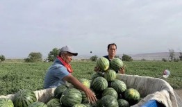 吃瓜十五年,见证娱乐圈风云变幻