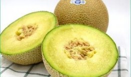 幼儿园宝宝吃哈密瓜,哈密瓜美食之旅