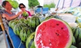 卖西瓜吃烂瓜,揭秘卖西瓜背后的奇妙故事