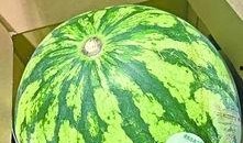 满瓜怎么吃,解锁美味新吃法