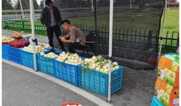 温州学子广场吃瓜,瓜香四溢，青春盛宴