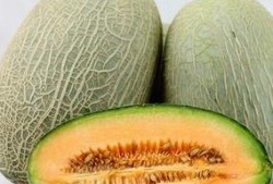 哈密瓜每天吃,哈密瓜的养生之道