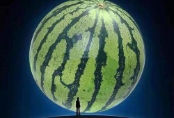 晨妍吃瓜,揭秘娱乐圈那些不为人知的幕后故事