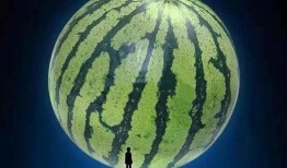 晨妍吃瓜,揭秘娱乐圈那些不为人知的幕后故事