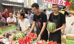 朝阳群众吃大瓜,吃大瓜背后的故事与真相