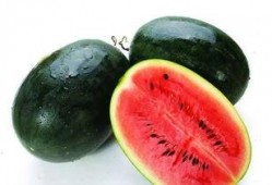 广西校园吃瓜君,揭秘校园热点事件背后的真相