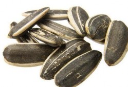 瓜子图片吃瓜,瓜子图片中的夏日清凉时光