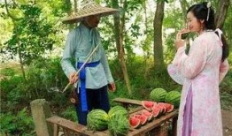 瓜农路上吃瓜视频