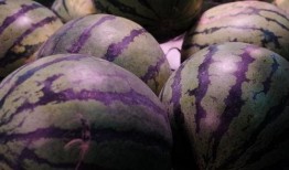 吃高瓜发胖吗,吃高瓜真的会发胖吗？