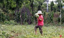 山东枣庄学院吃瓜,一场“吃瓜”引发的校园风云