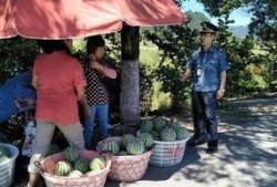 野兽派吃瓜群众,揭秘艺术圈的趣味众生相