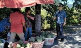 野兽派吃瓜群众,揭秘艺术圈的趣味众生相