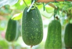 逍遥吃大瓜,揭秘娱乐圈幕后故事