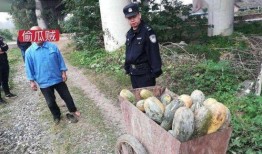 运城吃瓜曝光事件,网络舆论下的真相与反思