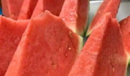 文安吃瓜门,揭秘网络舆论的狂欢与反思