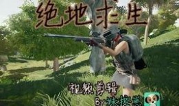 影子转场吃瓜,吃瓜群众见证娱乐圈风云变幻