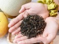 岩茶圈吃瓜事件,揭秘茶界风云背后的真相