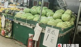 福臻小区吃瓜,吃瓜群众的热议焦点