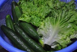 山东方瓜怎么吃,家常美味尽在其中