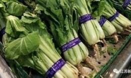 临淄塑化厂吃瓜